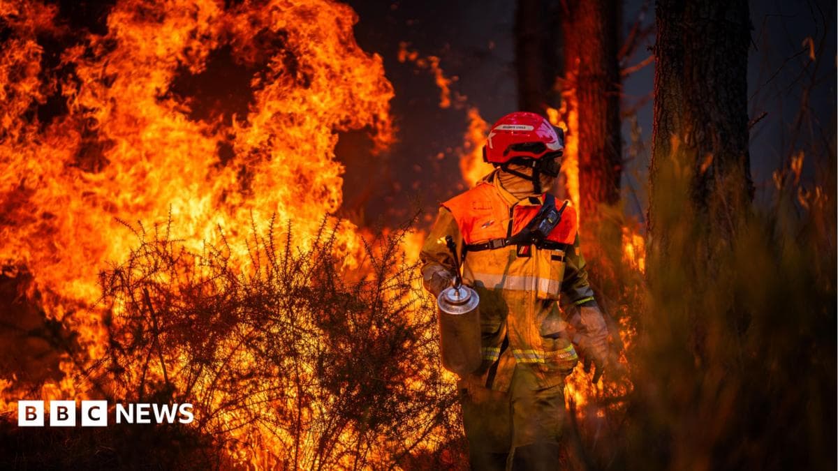 A firefighter works to contain a major wildfire near Saumos in France on 29 July.