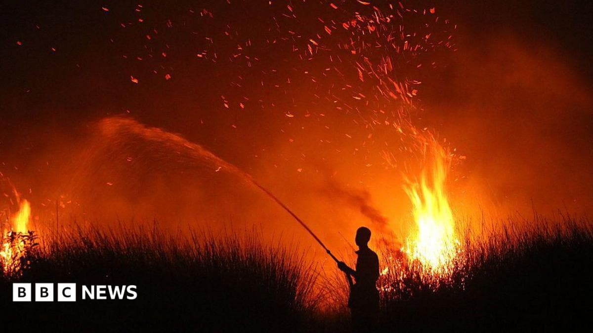 The silhouette of a local villager trying to extinguish a wildfire in Palangka Raya, Central Kalimantan