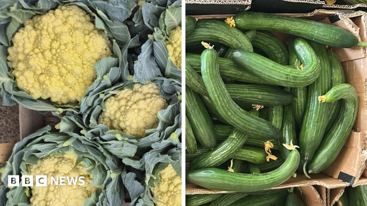 On the left, yellow cauliflower heads, and on the right, bent cucumbers.