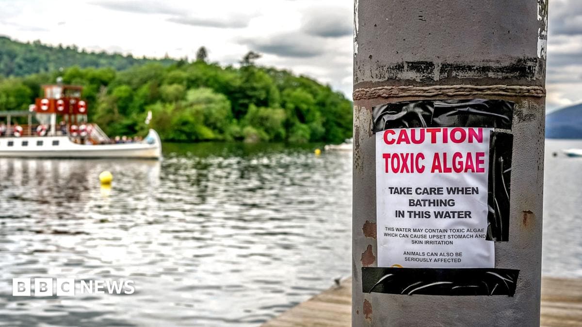 A boat sails on Lake Windermere while in the foreground a sign warns bathers of toxic algae in the water