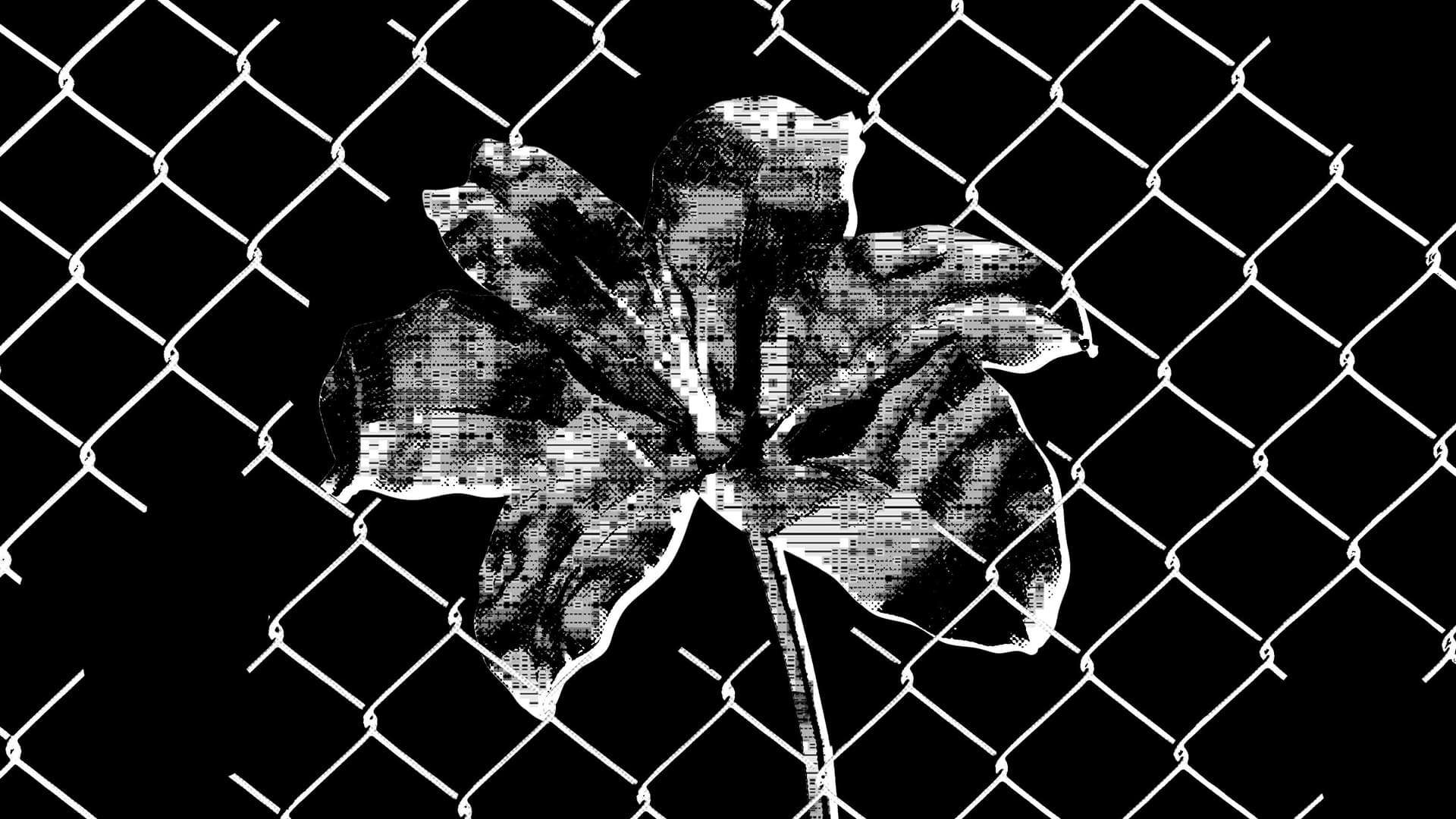 Collage of an ASCII flower growing through a fence with lots of holes