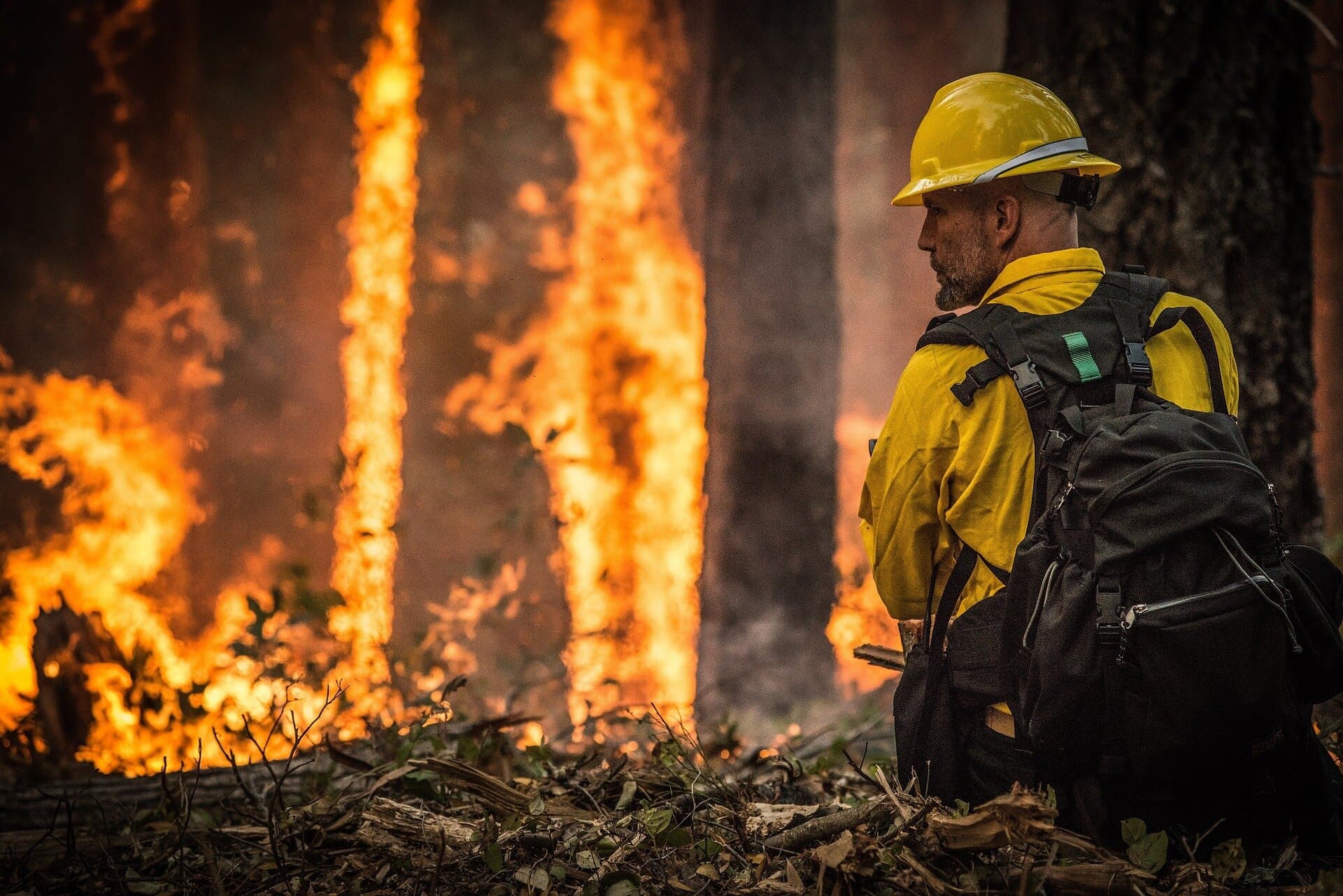 wildfire
