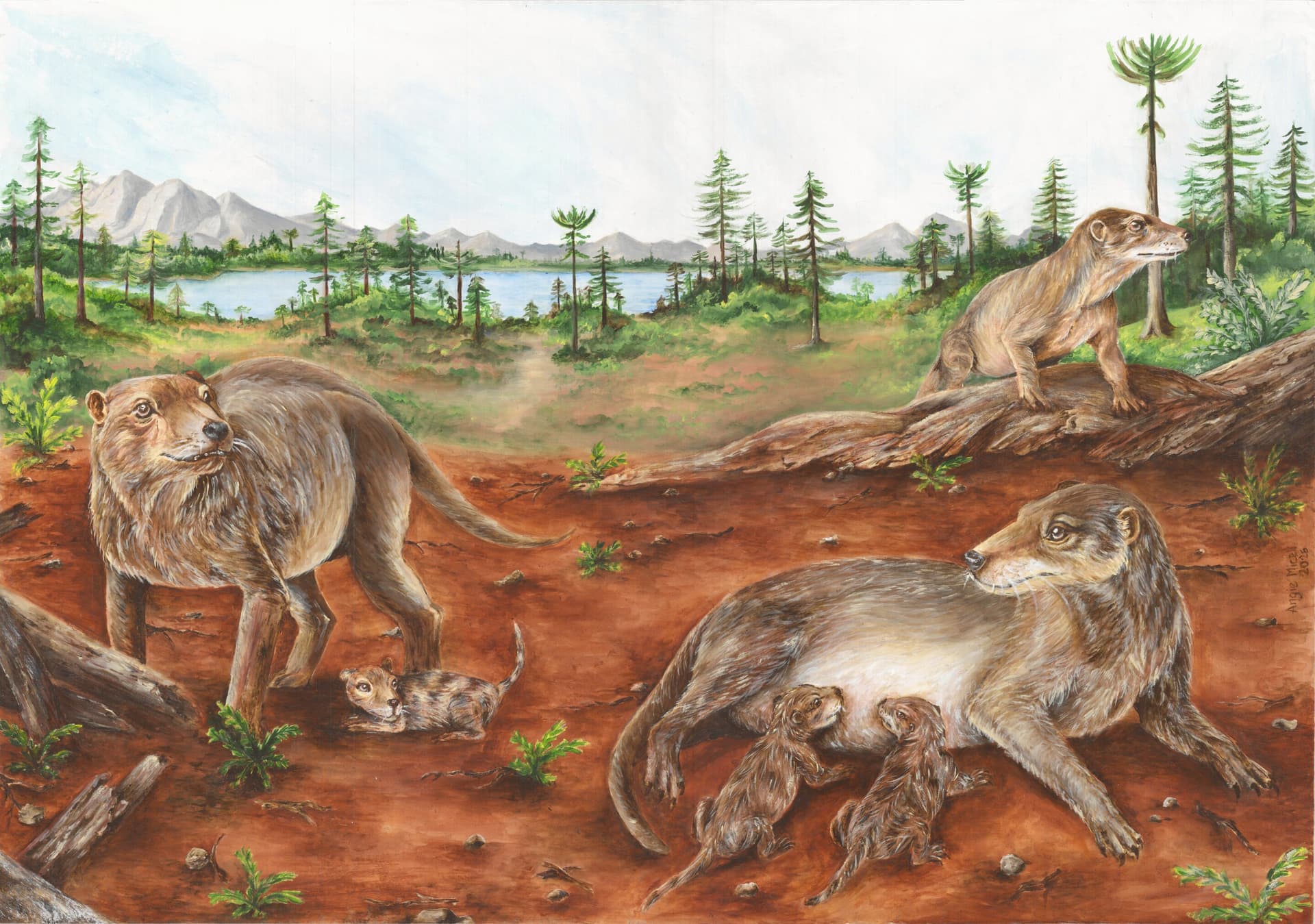 New fossil evidence challenges the story of mammalian birth