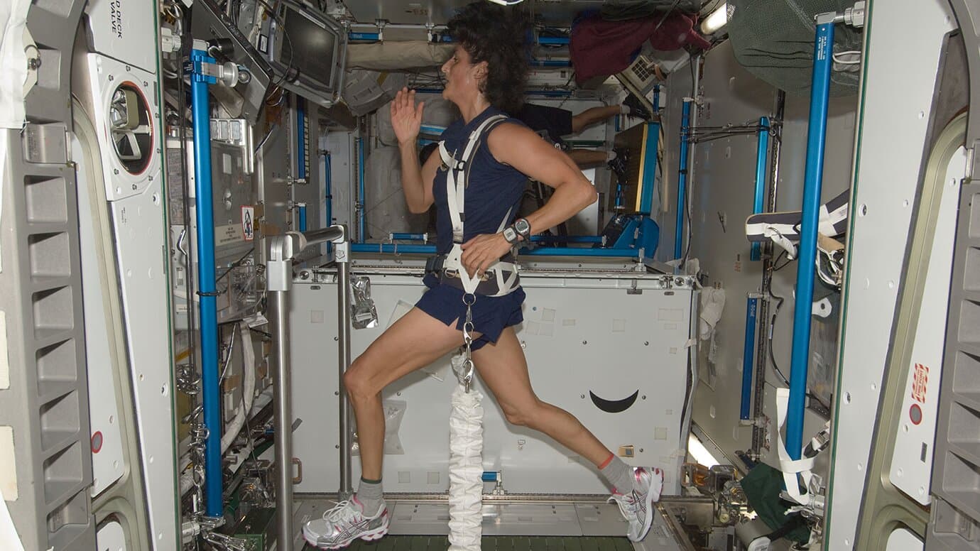 Space travel doesn't affect the strength of heart muscle cells, study finds
